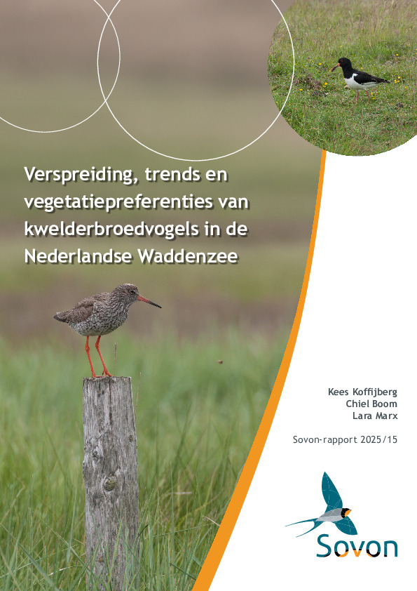 Omslag Verspreiding, trends en vegetatiepreferenties van kwelderbroedvogels in de Nederlandse Waddenzee