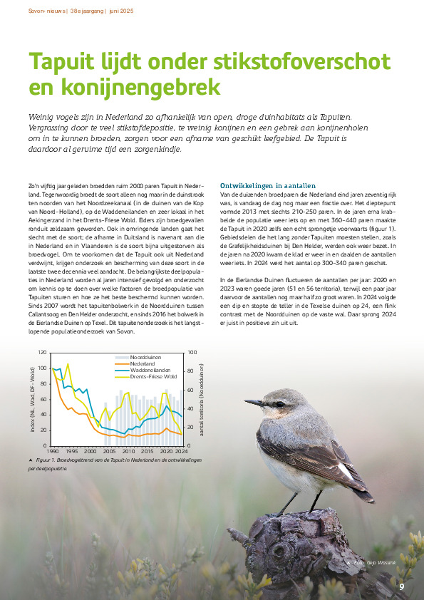 Omslag Tapuit lijdt onder stikstofoverschot en konijnengebrek