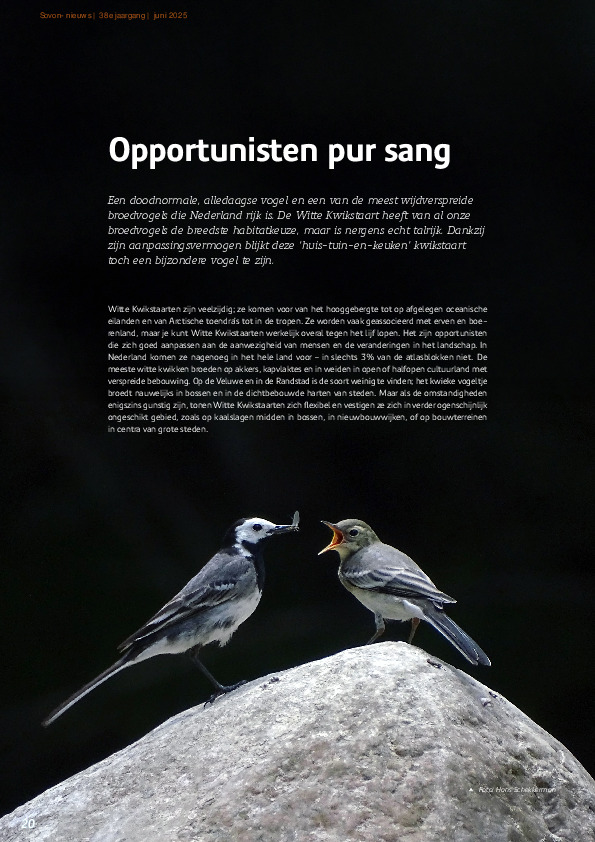 Omslag Opportunisten pur sang