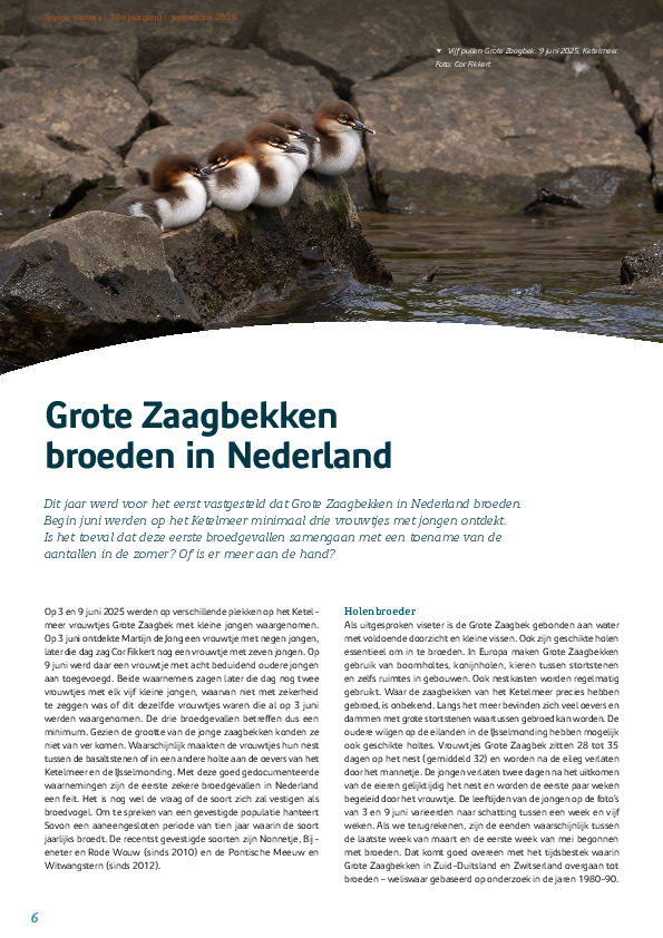 Omslag Zo tel je: Aalscholvers en zilverreigers