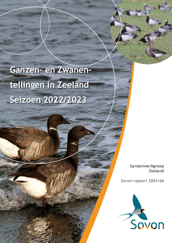Omslag Ganzen- en Zwanentellingen in Zeeland Seizoen 2022/2023