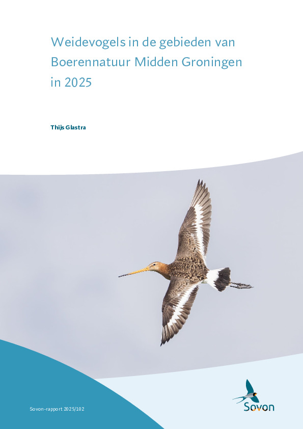 Omslag Weidevogels in de gebieden van Boerennatuur Midden Groningen in 2025