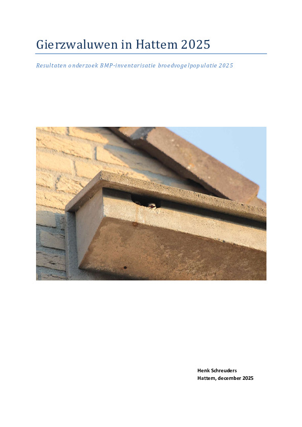Omslag Gierzwaluwen in Hattem 2025