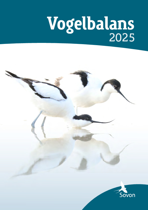 Omslag Vogelbalans 2025