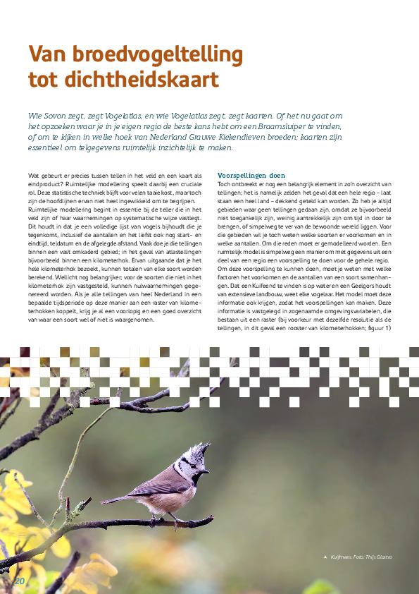 Omslag Van broedvogeltelling tot dichtheidskaart