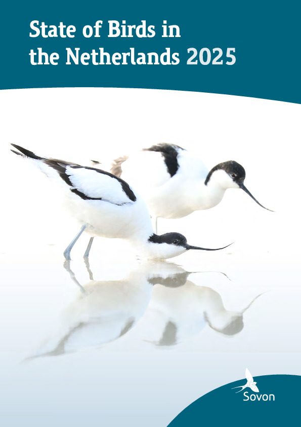 Omslag State of Birds in the Netherlands 2025
