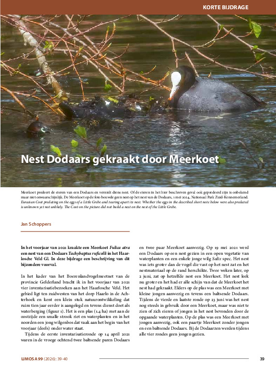 Omslag Nest Dodaars gekraakt door Meerkoet