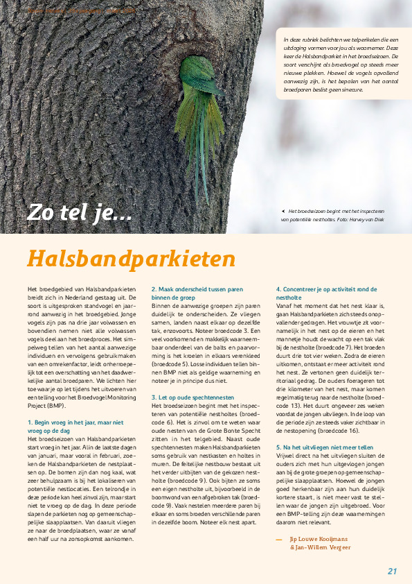 Omslag Zo tel je Halsbandparkieten