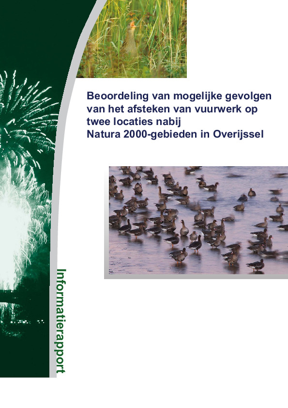 Omslag Beoordeling van mogelijke gevolgen van het afsteken van vuurwerk op twee locaties nabij Natura 2000-gebieden in Overijssel