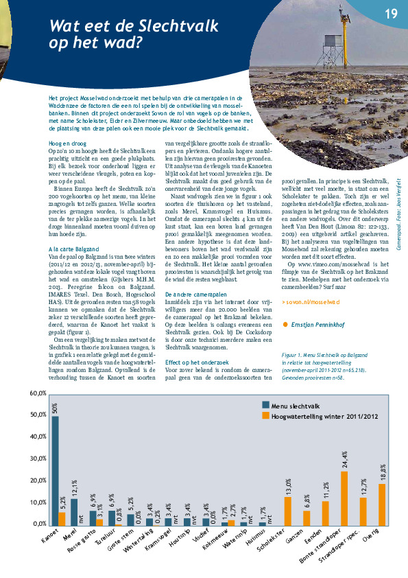 Omslag Wat eet de Slechtvalk op het wad?