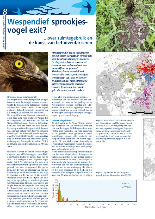 Omslag Wespendief sprookjesvogel exit?