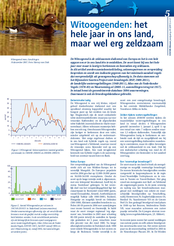 Omslag Witoogeenden: het hele jaar in ons land, maar wel erg zeldzaam