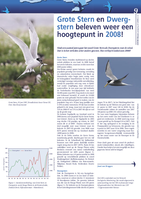 Omslag Grote Stern en Dwergstern beleven weer een hoogtepunt in 2008!