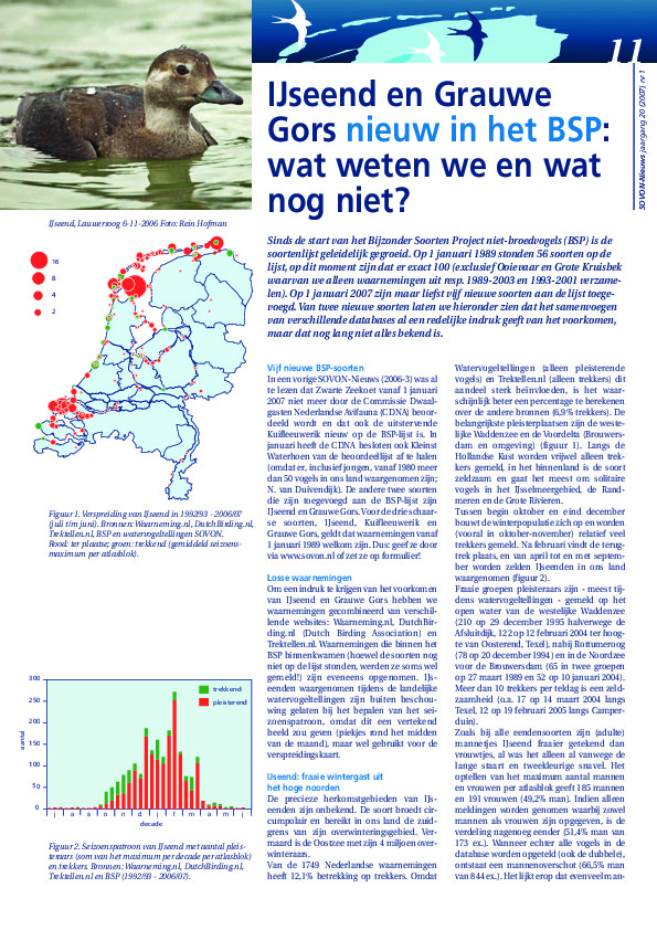 Omslag IJseend en Grauwe Gors nieuw in het BSP: wat weten we en wat nog niet