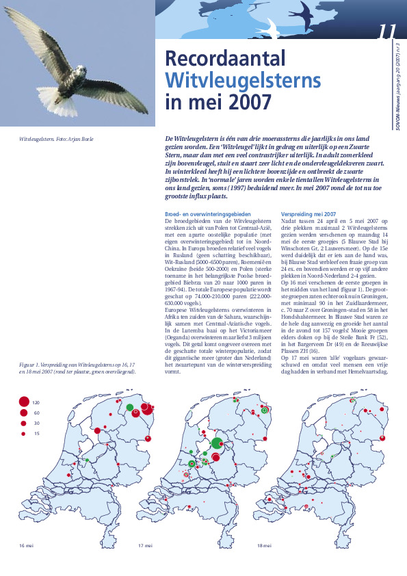 Omslag Recordaantal Witvleugelsterns in mei 2007