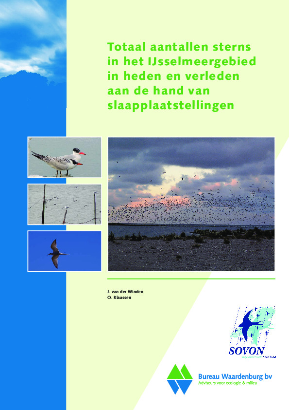 Omslag Totale aantallen sterns in het IJsselmeergebied in heden en verleden aan de hand van slaapplaatstellingen