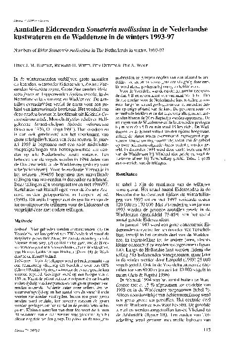 Omslag Aantallen Eidereenden in de Nederlandse kustwateren en de Waddenzee winters 1993-97