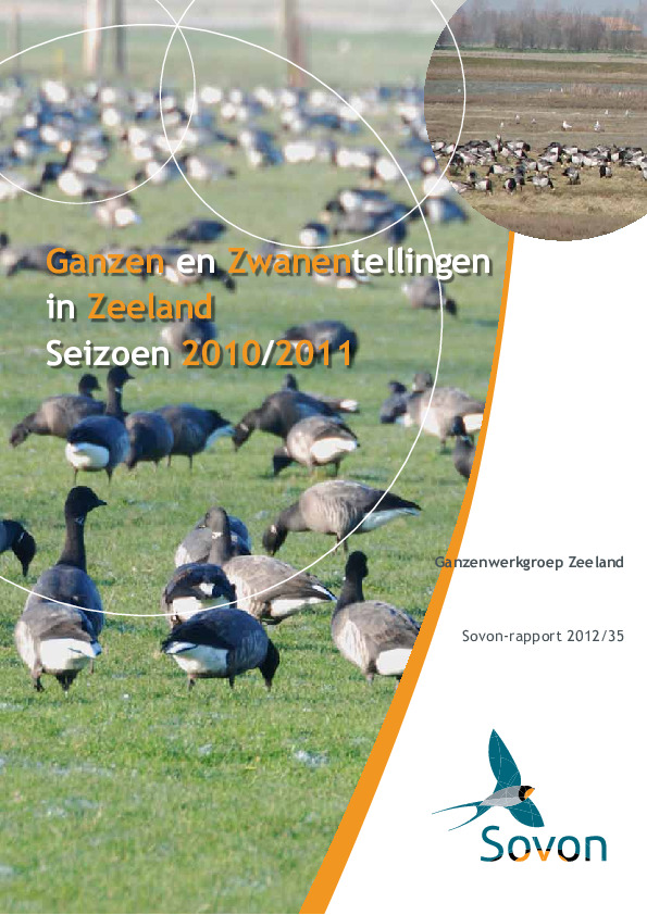 Omslag Ganzen- en Zwanentellingen in Zeeland, seizoen 2010/2011