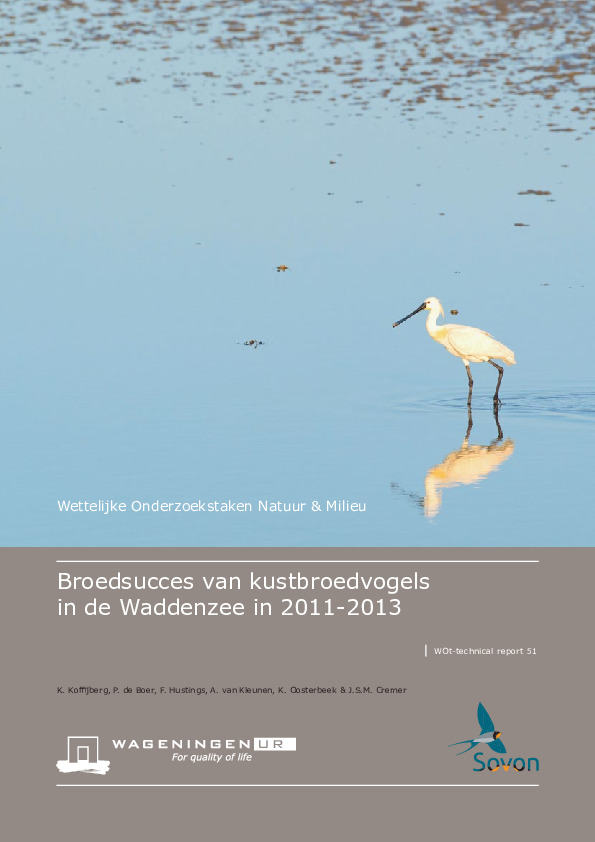 Omslag Broedsucces van kustbroedvogels in de Waddenzee in 2011-2013