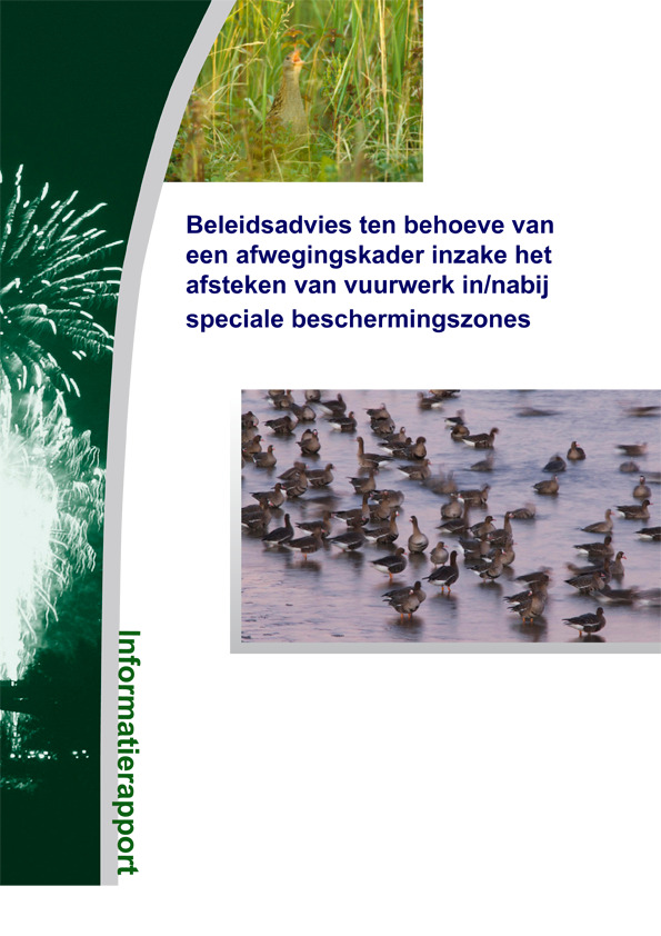 Omslag Beleidsadvies ten behoeve van een afwegingskader inzake het afsteken van vuurwerk in/nabij speciale beschermingszones