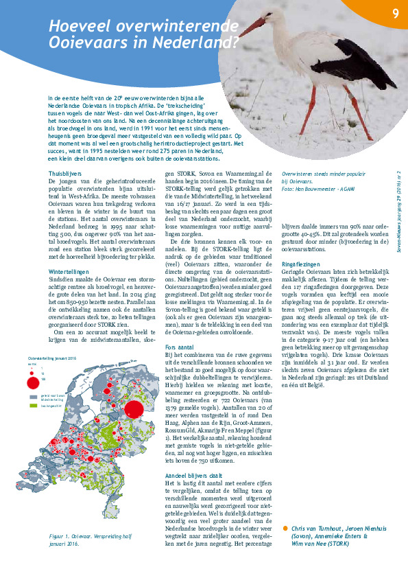 Omslag Hoeveel overwinterende Ooievaars in Nederland?