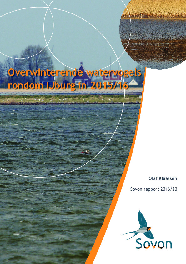 Omslag Overwinterende watervogels rondom IJburg in 2015/16